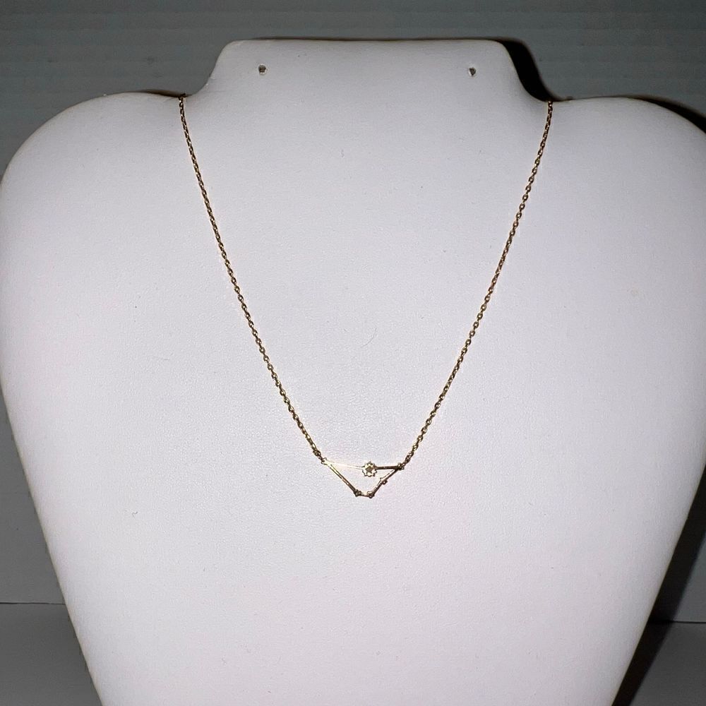 Secretbox NY Capricorn Constellation Necklace - Picture 9 of 9